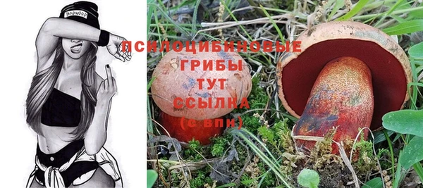 2c-b Балахна