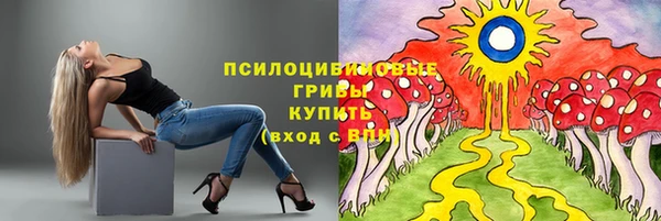 2c-b Балахна