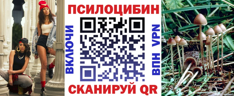 Псилоцибиновые грибы прущие грибы  мориарти формула  Унеча  OMG ссылки 